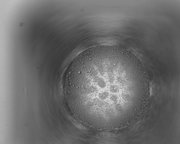 X0000072490339200607290045