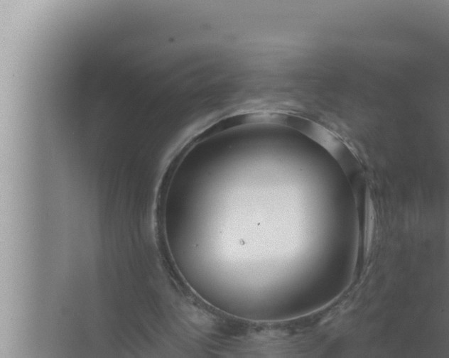 X0000072490340200607290045