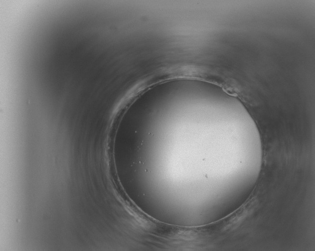 X0000072490341200607290045