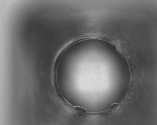 X0000072490342200607290045