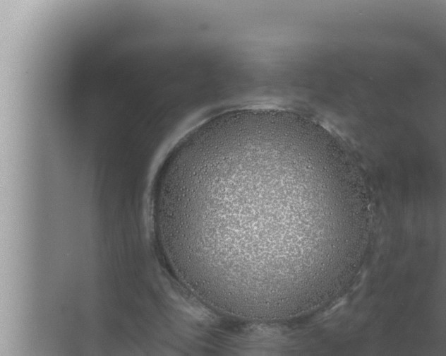 X0000072490343200607290045