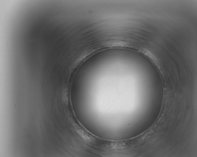 X0000072490345200607290045