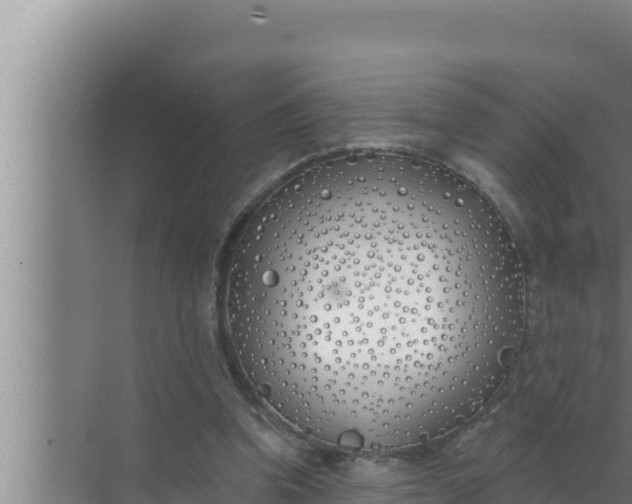 X0000072490346200607290045