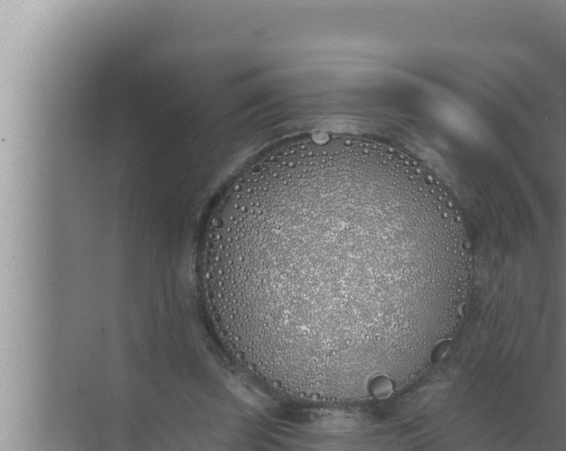 X0000072490347200607290045