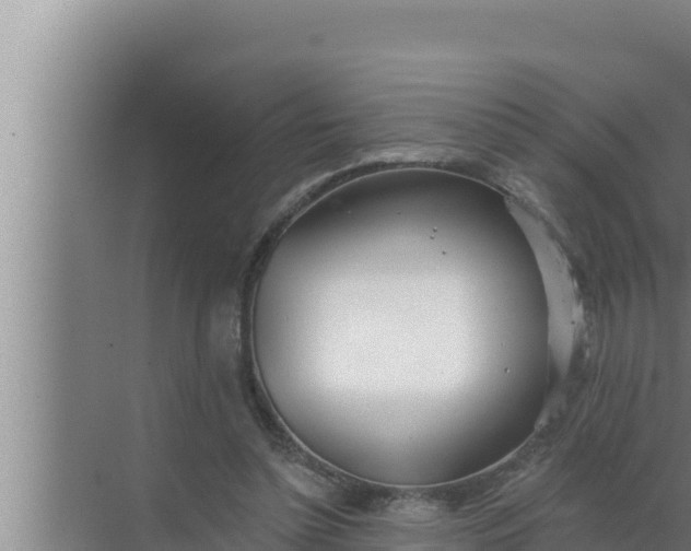 X0000072490348200607290045