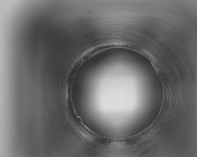 X0000072490350200607290045