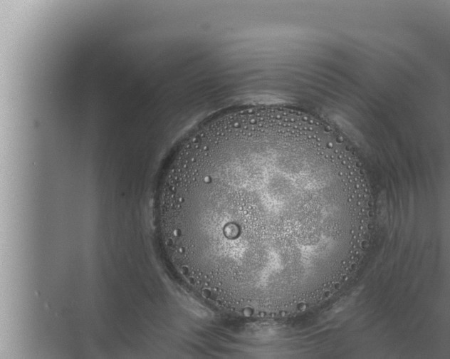 X0000072490351200607290045