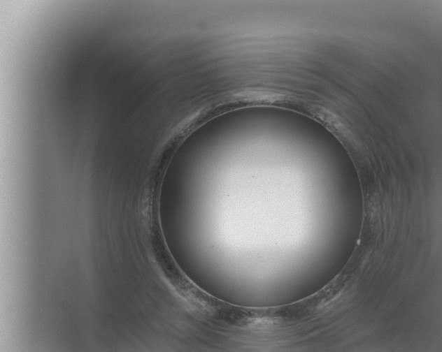 X0000072490352200607290045