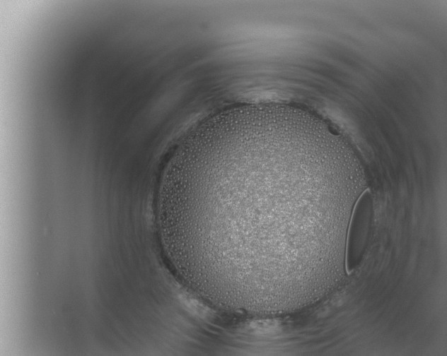 X0000072490353200607290045