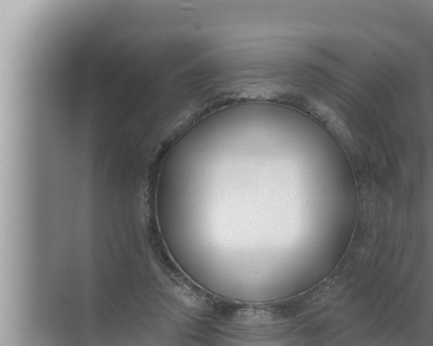 X0000072490354200607290045