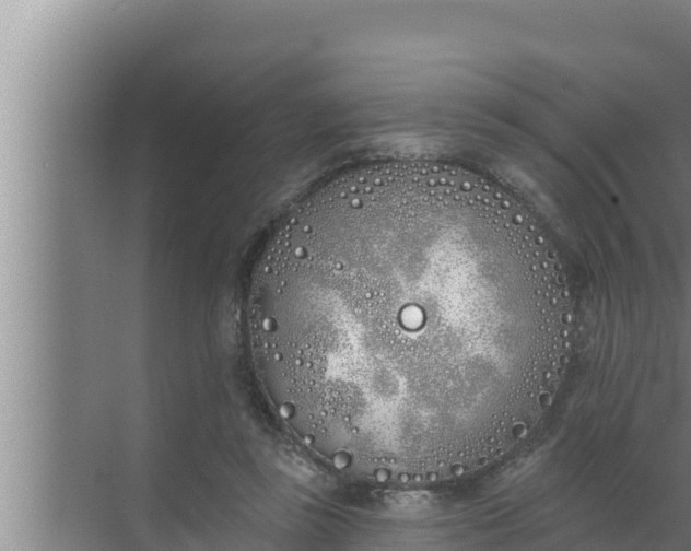 X0000072490355200607290045