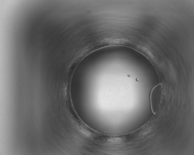 X0000072490357200607290045