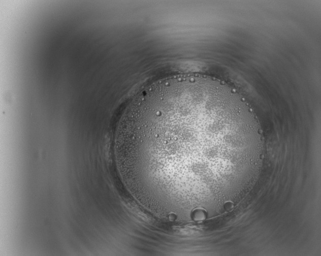 X0000072490359200607290046