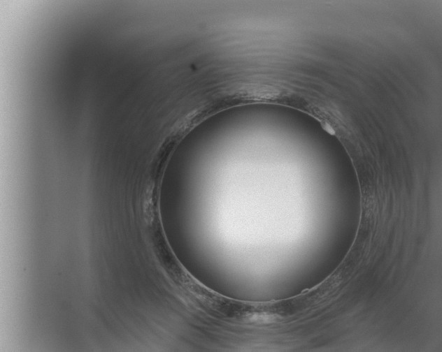 X0000072490360200607290046