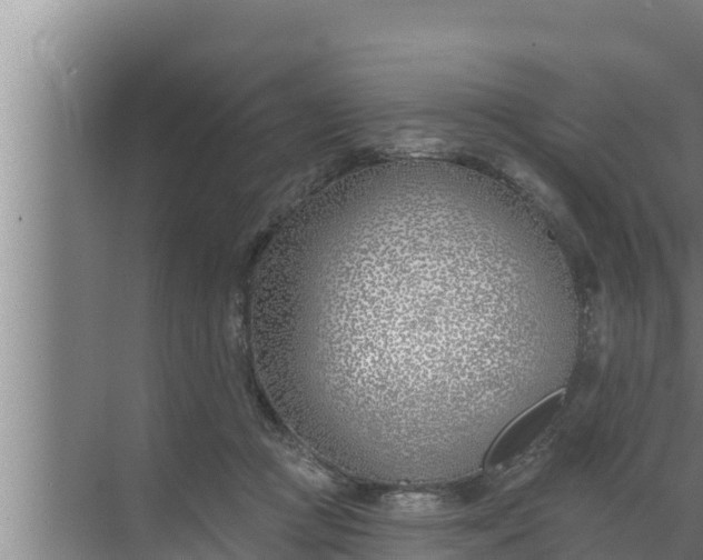 X0000072490361200607290046