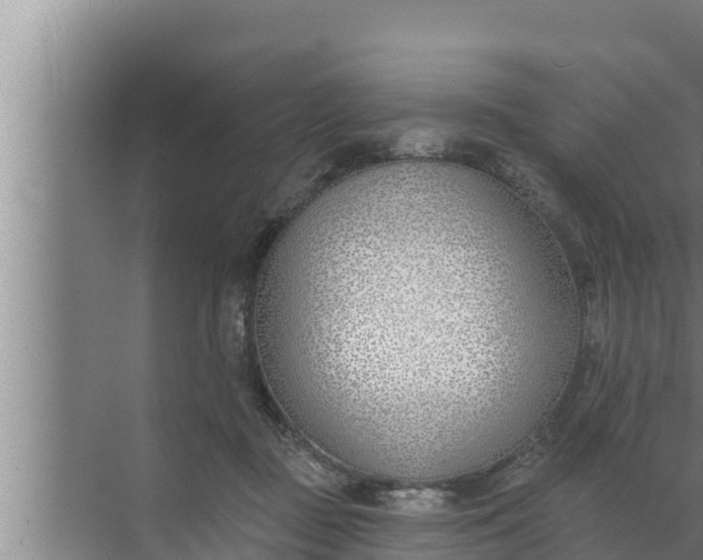 X0000072490363200607290046