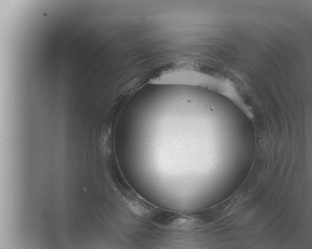 X0000072490364200607290046