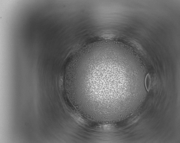 X0000072490365200607290046