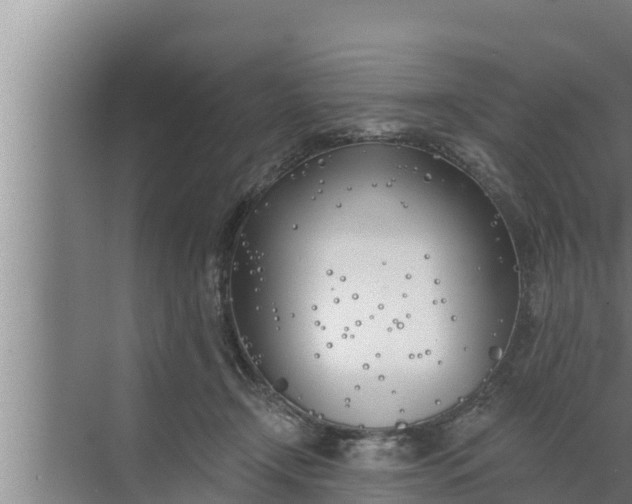 X0000072490366200607290046