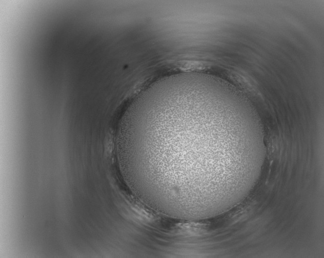 X0000072490367200607290046