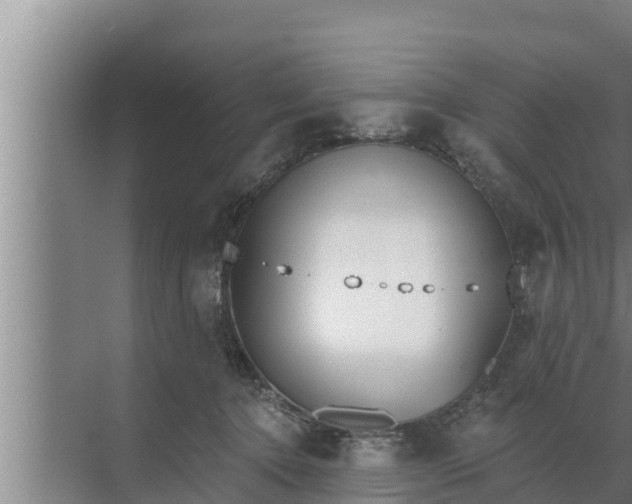 X0000072490368200607290046