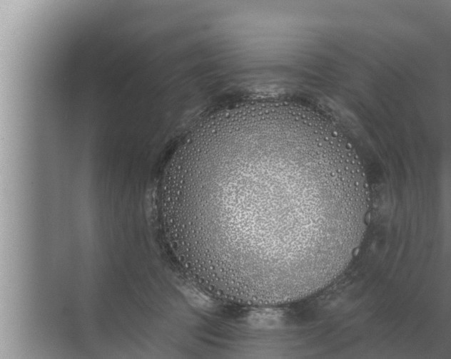 X0000072490369200607290046