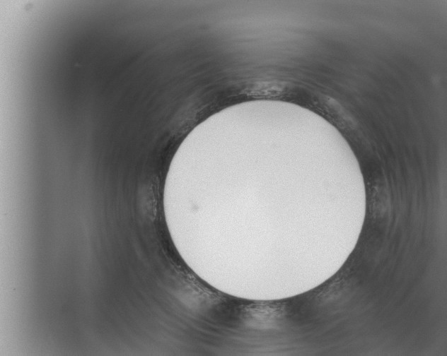 X0000072490370200607290046