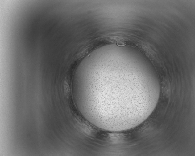 X0000072490371200607290046