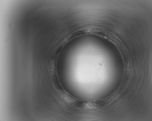 X0000072490372200607290046