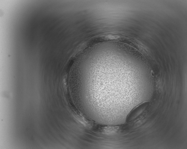 X0000072490373200607290046