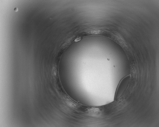 X0000072490374200607290046