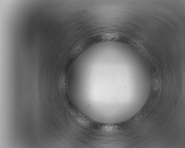 X0000072490375200607290046