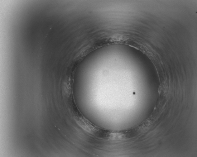 X0000072490376200607290046