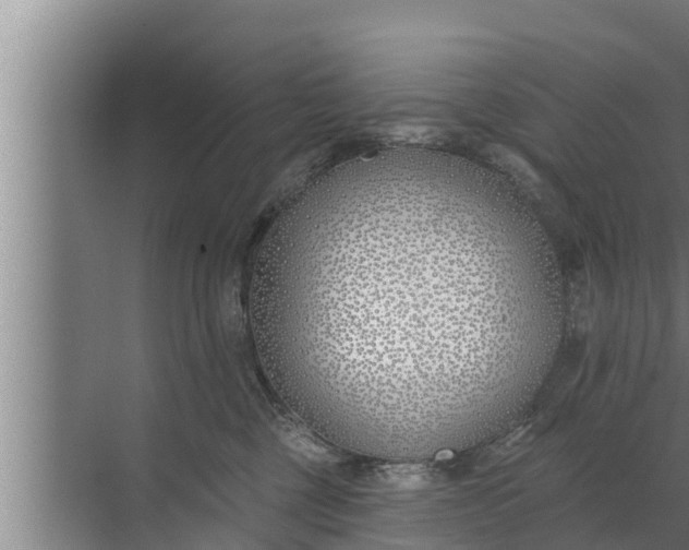 X0000072490377200607290046