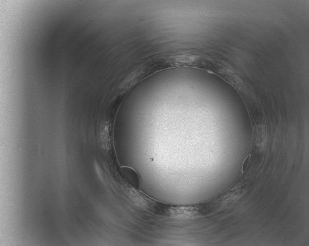 X0000072490378200607290046