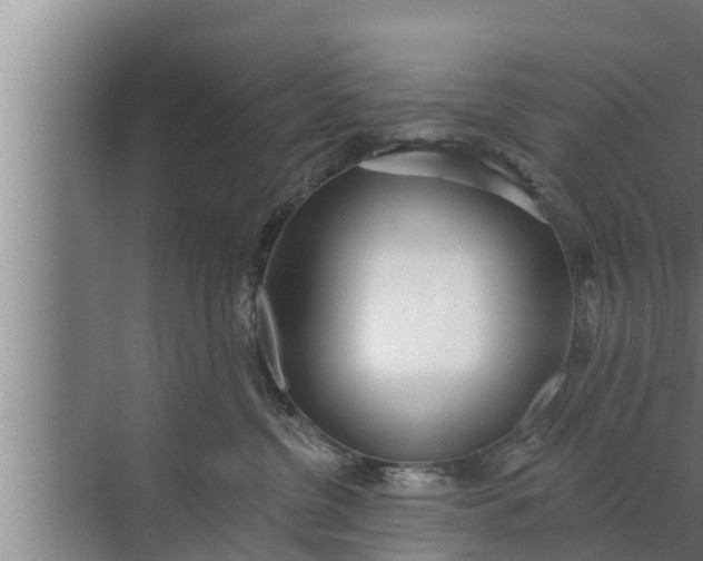 X0000072490380200607290046