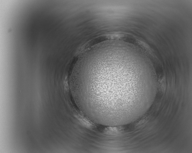 X0000072490381200607290046