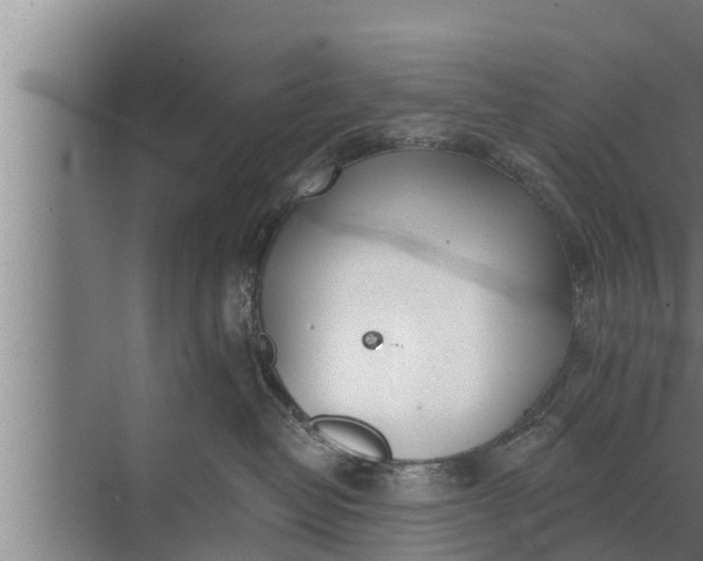 X0000072490382200607290046