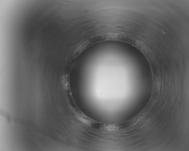 X0000072490383200607290046