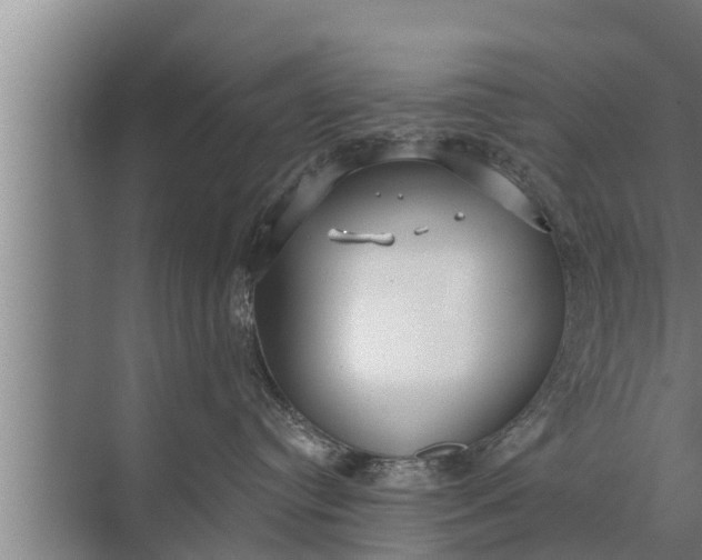 X0000072490384200607290046