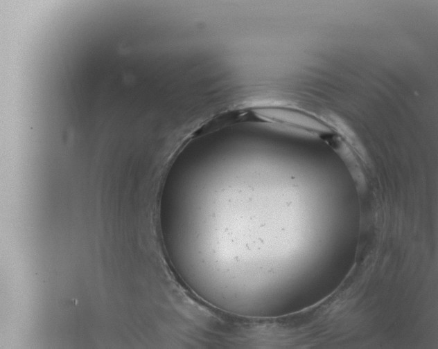 X0000072490385200607290045