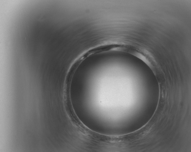 X0000072490388200607290045