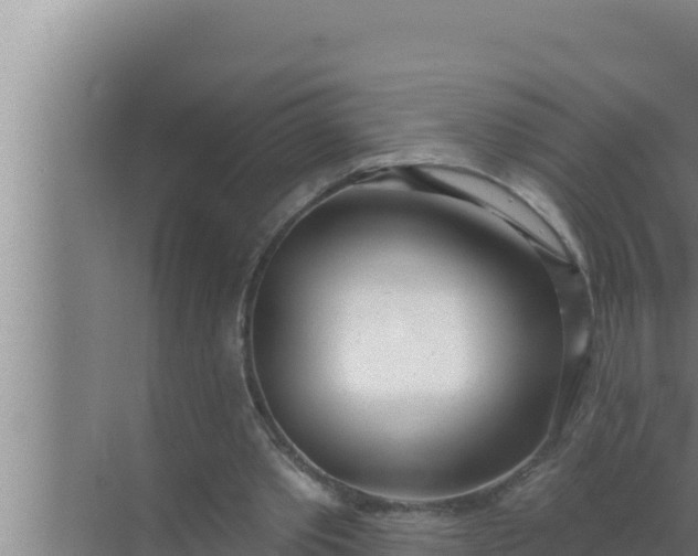 X0000072490389200607290045