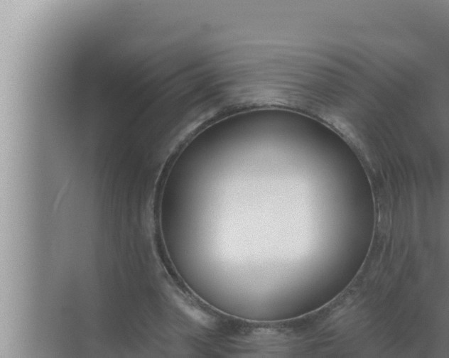 X0000072490390200607290045