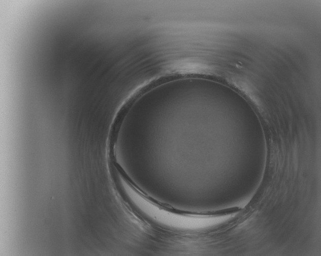 X0000072490391200607290045