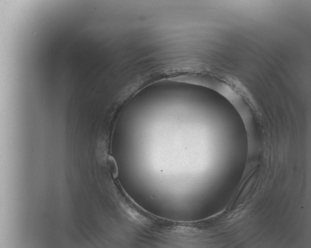 X0000072490393200607290045