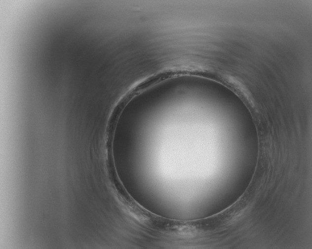 X0000072490395200607290045