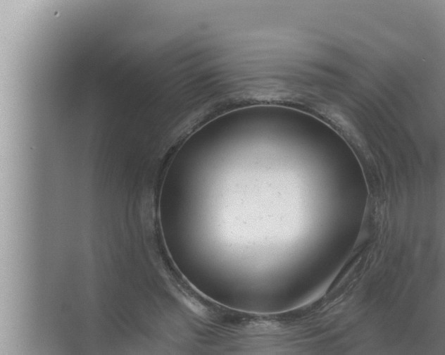 X0000072490397200607290045