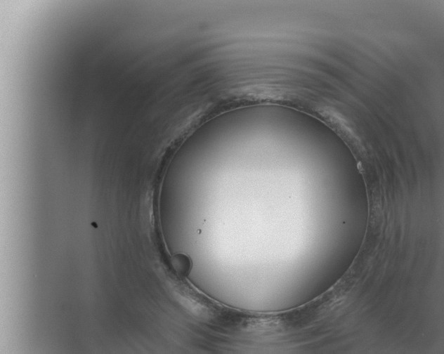 X0000072490398200607290045