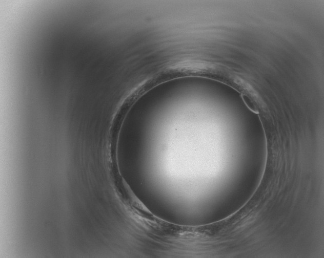 X0000072490399200607290045